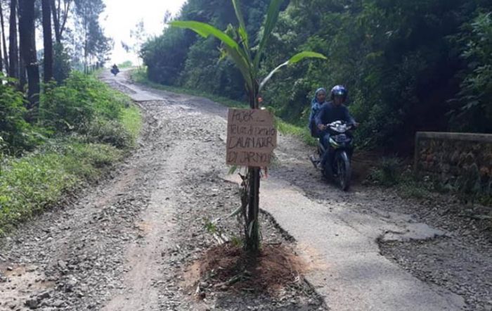 Soal Kerusakan Jalan di Tutur Pasuruan, Dewan Janji Kawal Perbaikan