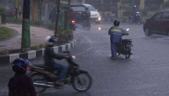 Musim Hujan, BPBD Imbau Warga Waspada Pohon Tumbang dan Petir