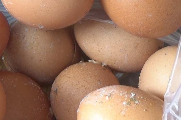 BPNT di Jombang Tak Kunjung Dibagikan, Telur yang Dipasok Supplier Membusuk