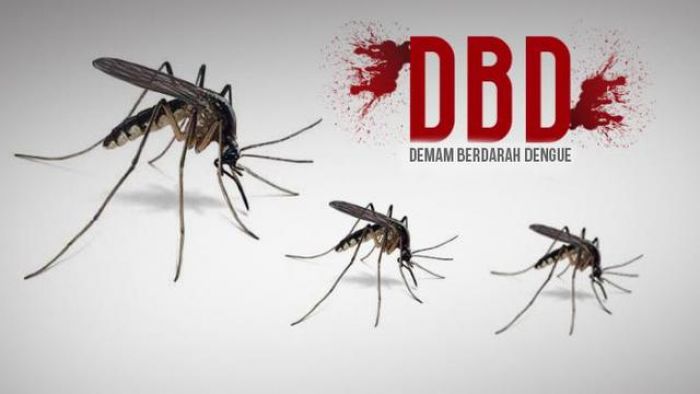 DBD di Pasuruan, 17 Pasien Terindikasi, 2 Positif