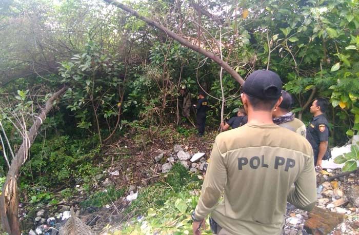 Satpol PP Surabaya Evakuasi Monyet Liar di Wilayah Kota
