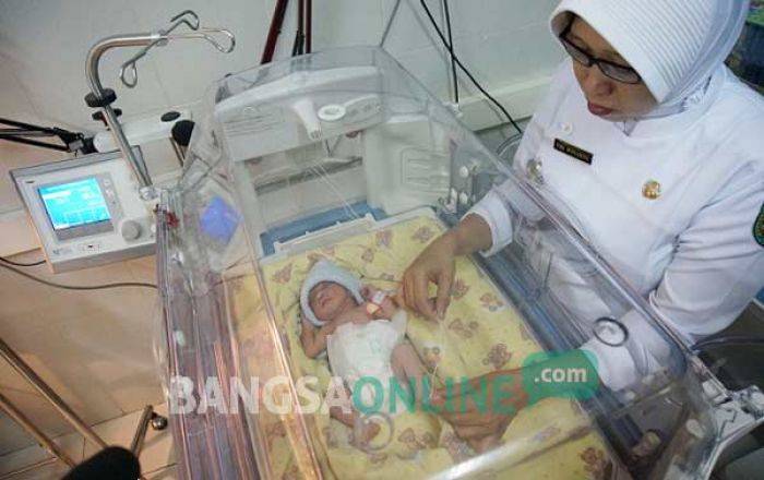 Satu Bayi di Jombang Lahir pada Tanggal Kabisat