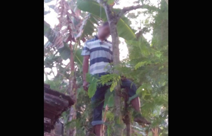 Besok Lebaran, Warga Pangkur Ngawi Malah Bunuh Diri di atas Pohon Waru