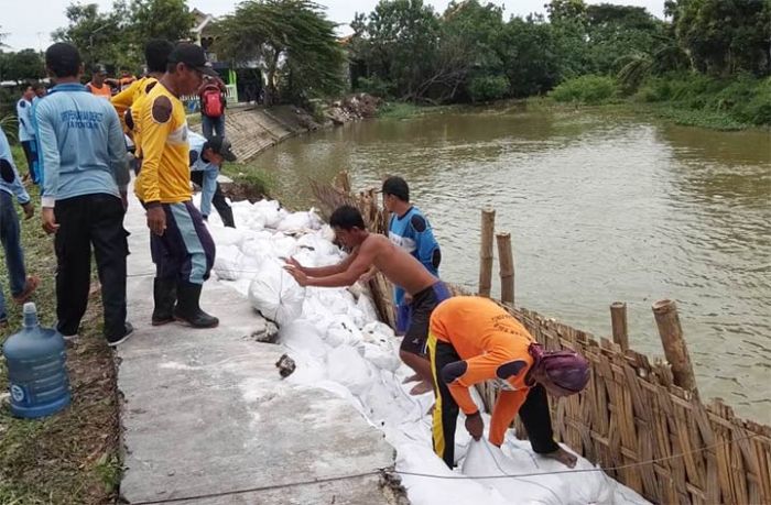 Hujan Deras, Tanggul Kali Desa Deket Kulon Lamongan Longsor