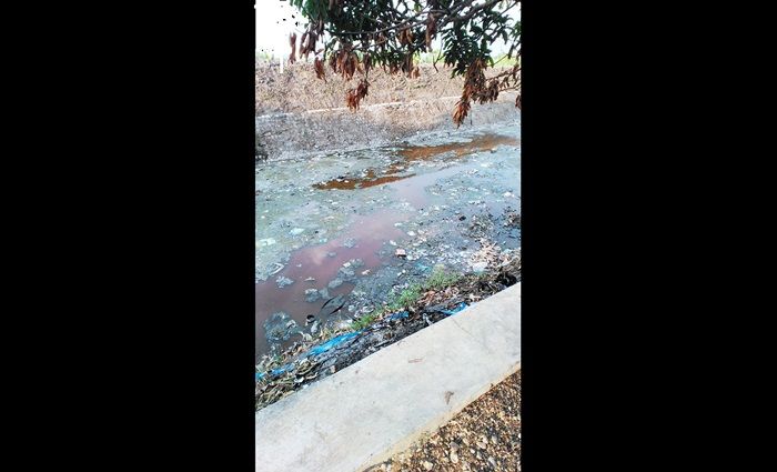 Banyak Warga Tawangrejo Madiun Keluhkan Pusing Akibat Sungai Kayen Tercemar