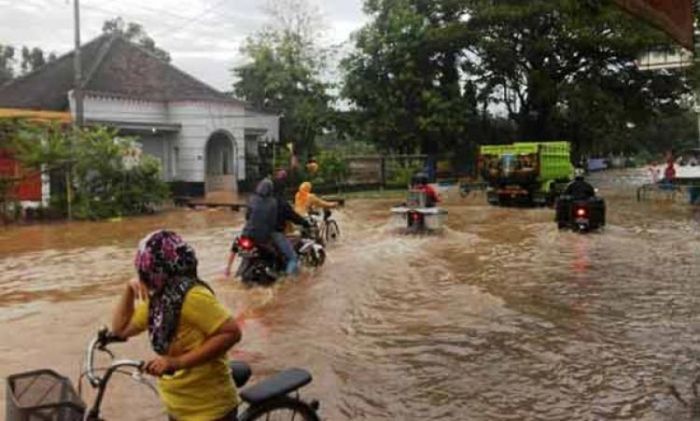 ​Masuk Musim Penghujan, BPBD Kabupaten Pasuruan Mulai Pantau Kantong-Kantong Rawan Bencana