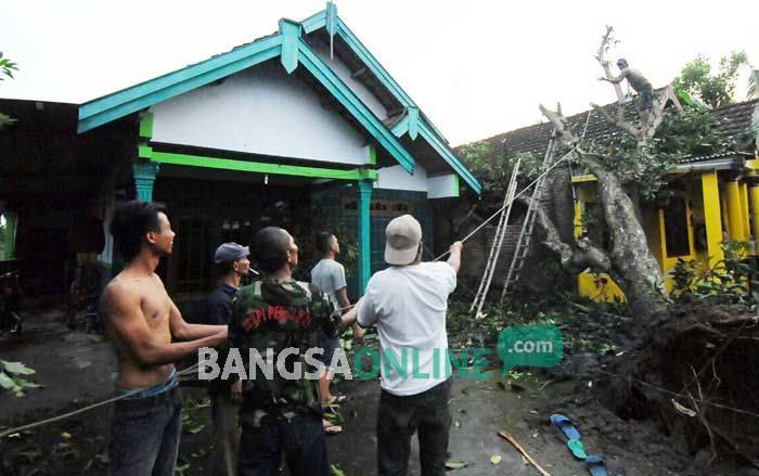 Puting Beliung Terjang Dua Dusun di Sumberagung: Pohon Roboh, 50 Rumah Rusak