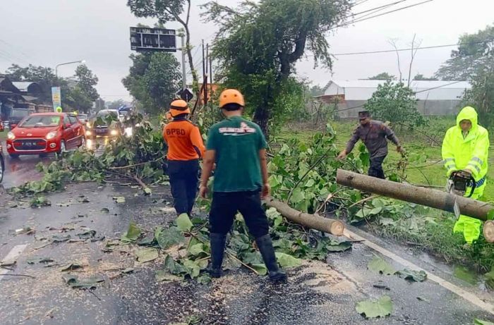 163 Bencana Terjadi di Kabupaten Blitar Selama 2022, Didominasi Angin Kencang