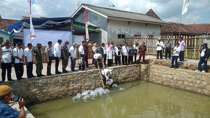 Budi Daya Ikan di Dusun Karangploso Kabupaten Pasuruan Gunakan Anggaran DD