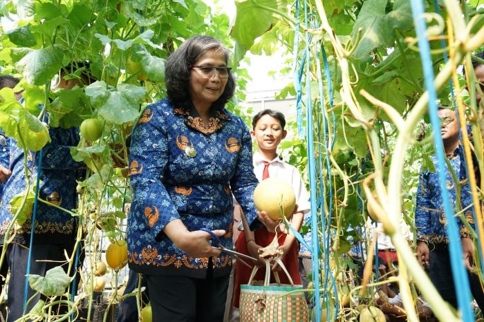 Hari Anak Nasional 2024, Pj Wali Kota Kediri Ajak Anak-Anak Petik Melon di Kampung Tani Kleco