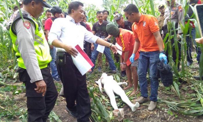 ​Polres Ngawi Gelar Reka Ulang Pembunuhan Wanita di Ladang Jagung