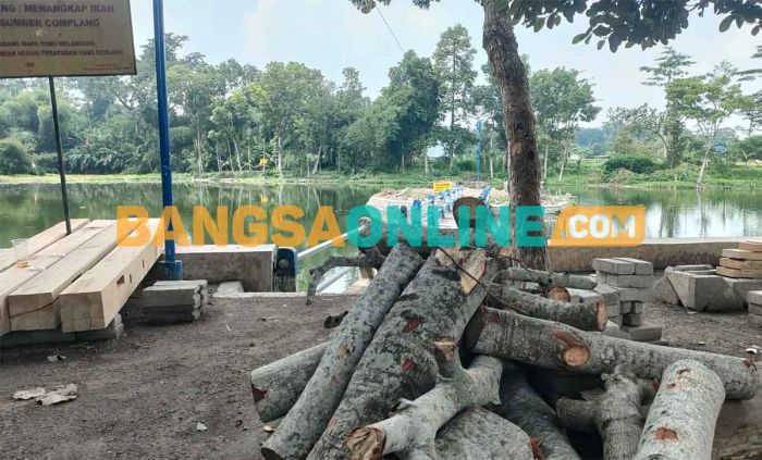 DLH Kabupaten Kediri Tinjau Lokasi Penebangan Pohon di Sumber Complang