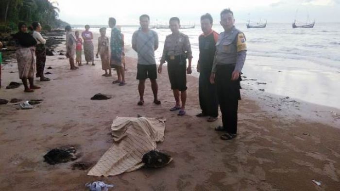 Sementara 19 Korban Laka Laut KM Arim Jaya di Madura Ditemukan, 2 Korban Masih dalam Pencarian