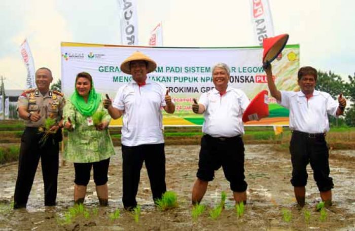 Bantu Pemerintah Kurangi Pupuk Subsidi, PG Gencar Perkenalkan NPK Phonska Plus kepada Petani