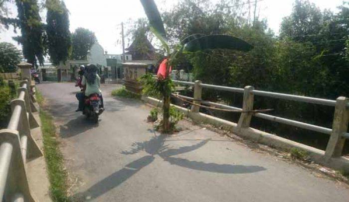 Jembatan Jebol di Desa Sawahan Kecamatan Rengel Tuban Ditanami Pohon Pisang, Warga Minta Perbaikan