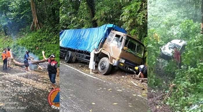 ​Pohon Tumbang dan Kecelakaan Bikin Macet Jalur Gumitir Jember