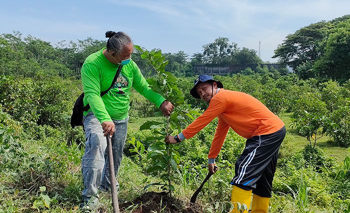 Distanbun Kediri-Aliansi Relawan Peduli Lingkungan Tanam Pohon di Kebun Bibit Mranggen