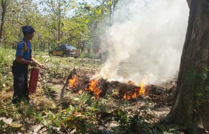 Kemarau, 18 Hektar Hutan Jati di Bojonegoro Terbakar
