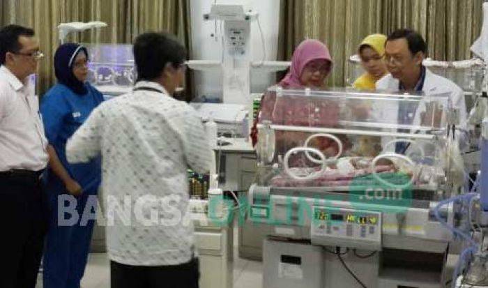 Bayi Kembar Siam Dempet Perut di Sidoarjo Bermasalah pada Liver
