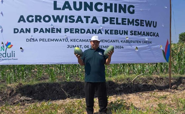 Desa Pelemwatu Gresik Launching Agrowisata Pelemsewu