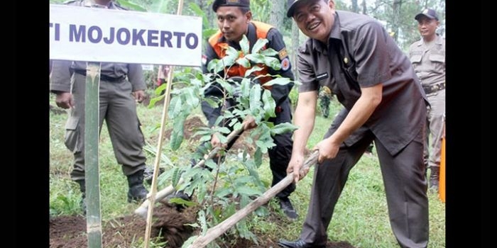 Bupati Pungkasiadi ketika mengawali gerakan menanam pohon.