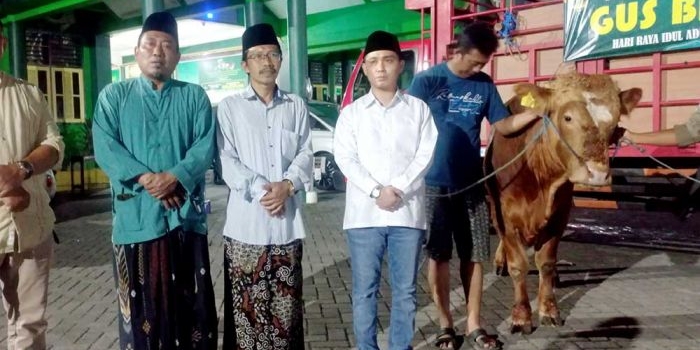 Ketua PCNU Mojokerto KH. Abdul Adzim Alwi dan Ketua Muslimat NU Hj Aslikhatul Mahmudah saat menerima hewan kurban berupa sapi jumbo dari Gus Barra.