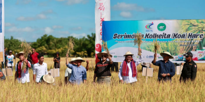 Presiden Timor Leste Ramos Horta (empat dari kanan), Wadirut PI Gusrizal (paling kiri), DU PG Dwi Satriyo Annurogo (tiga dari kanan), bersama pejabat terkait saat panen padi di Kabupaten Baucau, Timor Leste. Foto: Ist.