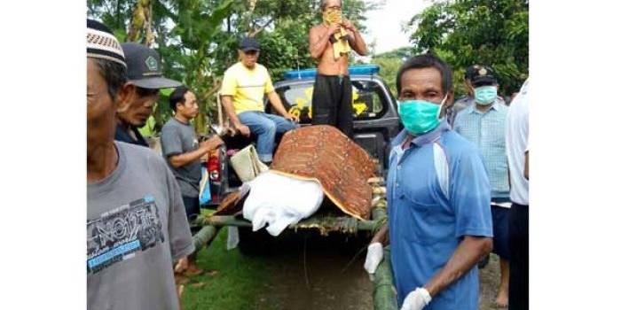 EVAKUASI: Mayat  Andris Wibowo yang terapung di sungai sedang dievakuasi dan di bawa ke rumah, kemarin. foto: zainal abidin/ BANGSAONLINE