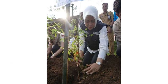 Bupati Mojokerto, Ikfina Fahmawati, saat menanam bibit bambu sebagai tanda diresmikannya sentra bambu Claket
