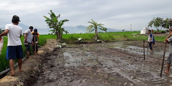 Lokasi bakal perumahan Mojoanyar yang menyisakan masalah. Foto: YUDI EP/BANGSAONLINE