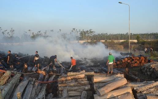 Gudang Pabrik Triplek Milik Perhutani Kediri Terbakar