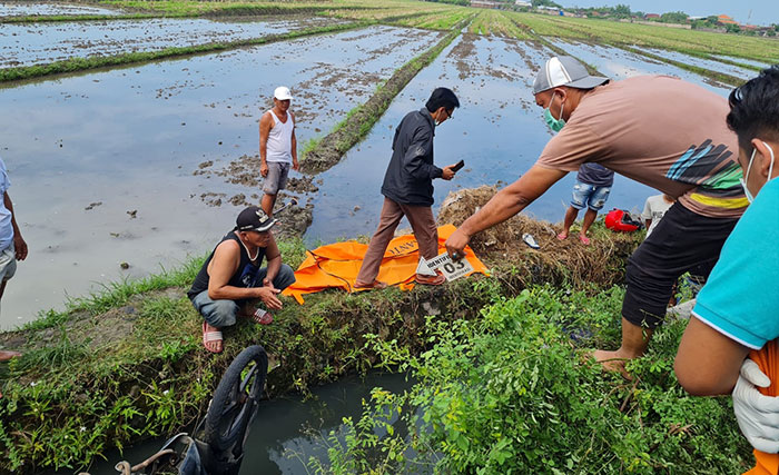 Dua Mayat Di Irigasi Sawah Gegerkan Warga Dusun Tempel Sidoarjo