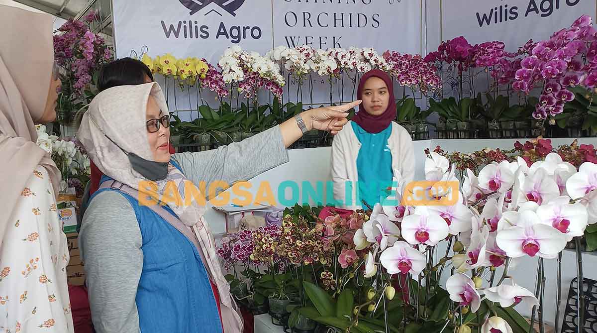 Pengunjung Batu Shining Orchids Week 2023. Foto: ADI WIYONO/BANGSAONLINE
