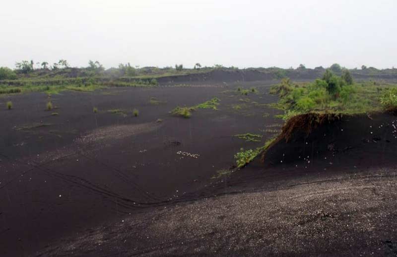 Hamparan pasir di Desa Paseban yang akan dieksploitasi oleh investor. foto: memo-x