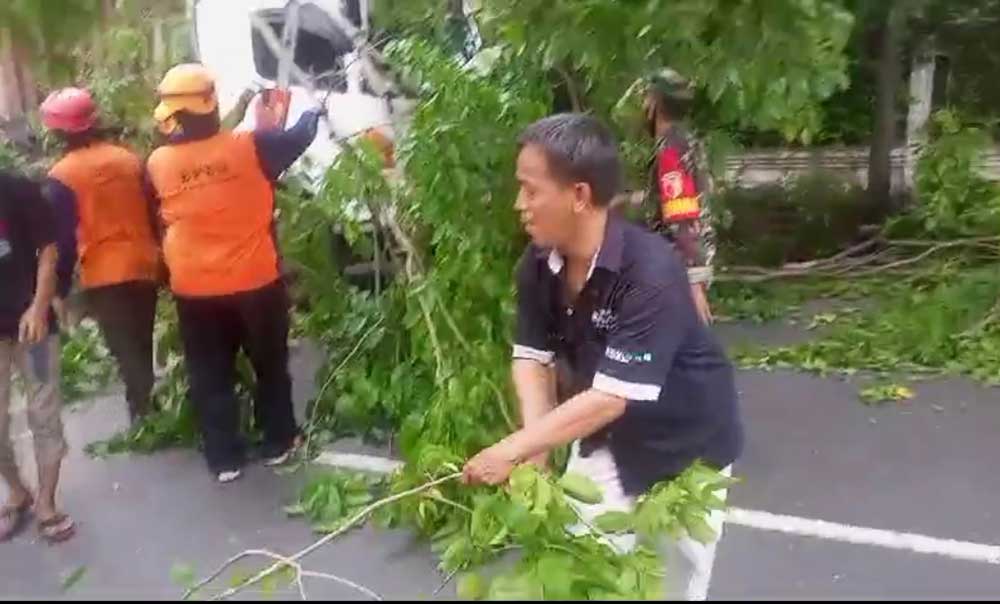 Petugas saat mengevakuasi pohon tumbang di Jalan Raya Nasional Pasuruan-Malang.