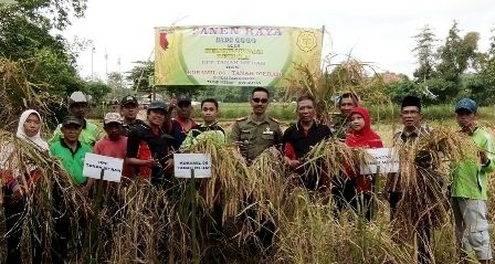 bangkalan