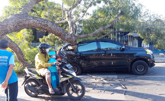 Sebuah mobil jenis minibus tertimpa pohon tumbang di Jalan Raya Kademangan - Tulungagung, Kecamatan Kademangan, Kabupaten Blitar. Tepatnya di traffic light barat jembatan Kademangan.