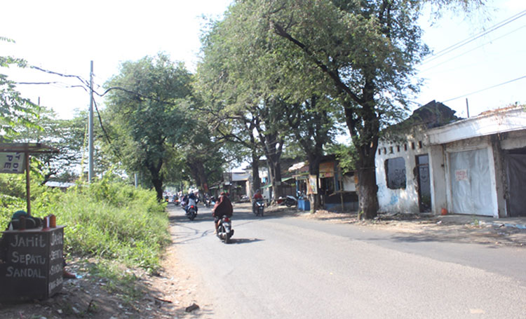 Jalan kabupaten ruas Talun-Gununggangsir, Kabupaten Pasuruan. (foto: ist)