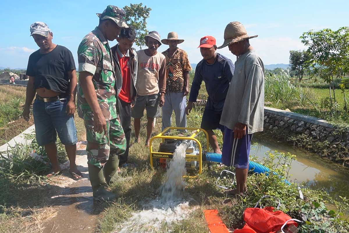 Dukung Peningkatan Produksi Padi, Babinsa Lakukan Pendampingan Dalam ...