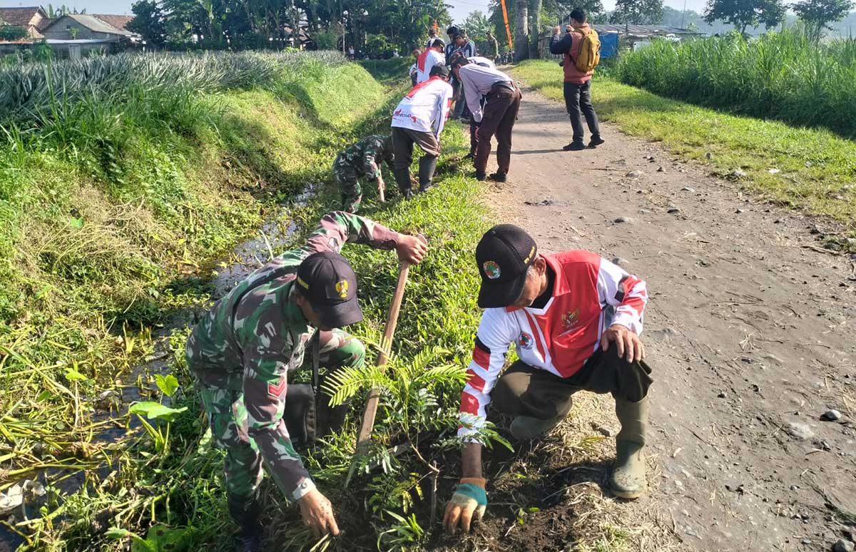 Unsur TNI, Perhutani, pemerintah desa, masyarakat, dan anggota Pramuka saat menanam pohon dalam pelaksanaan TMMD ke-127 di Kabupaten Kediri. Foto: Ist