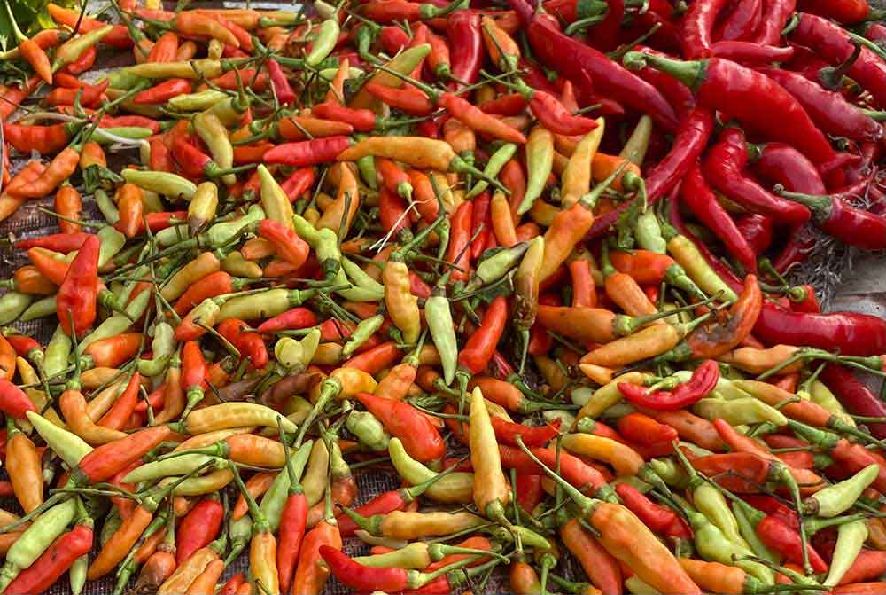 Cabai Rawit Merah Turun Rp67.344/kg, Simak Informasi Harga Sembako Jatim Hari Ini 17 April 2025