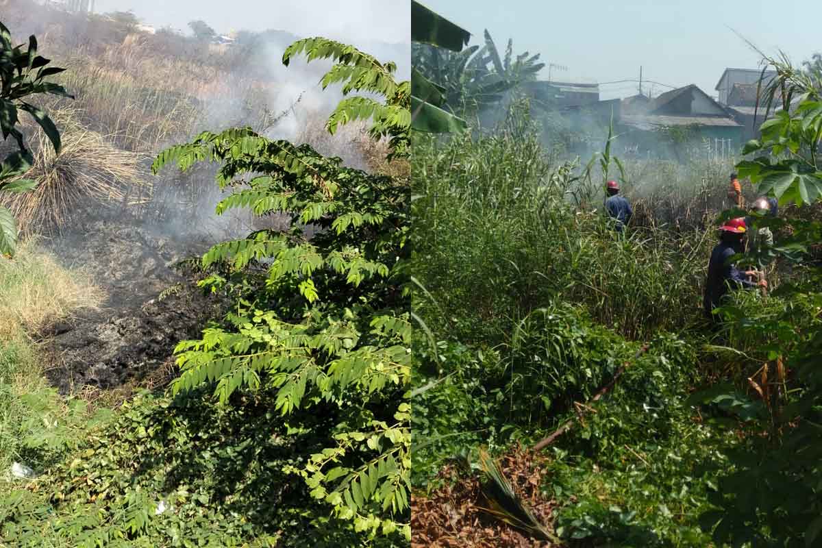 Masuk Musim Kemarau Dua Lahan Kosong Di Sidoarjo Terbakar Berita Terkini 4247