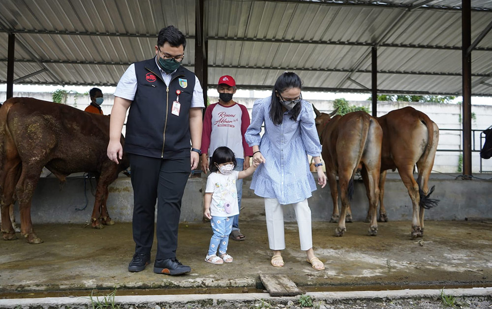 Keseruan Bupati Kediri Saat Ajak Putrinya ke Kandang Sapi