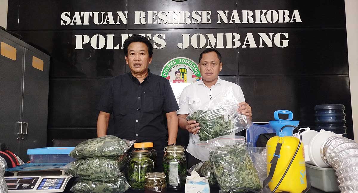 Konferensi pers terkait penemuan 166 pohon ganja dan minuman fermentasi ilegal yang digelar Satresnarkoba Polres Jombang.
