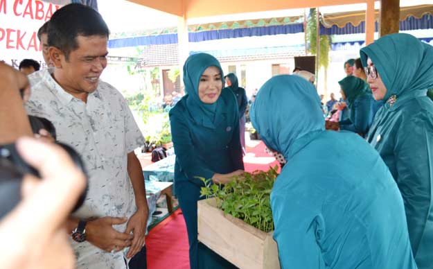 Bupati Nganjuk Drs H Taufiqurahman didampingi ketua TP PKK Nganjuk Hj Ita Triwibawati saat menyerahkan bibit cabai secara simbolis kepada TP PKK Desa di Kecamatan Loceret. foto: BAMBANG DJ/ BANGSAONLINE