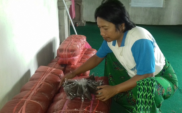 Salah satu pedagang tembakau ketika menujukkan temabakau yang siap jual.