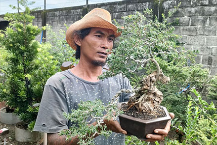 Tekuni Budi Daya Bonsai, Pria di Kediri ini Raup Omzet Jutaan Rupiah