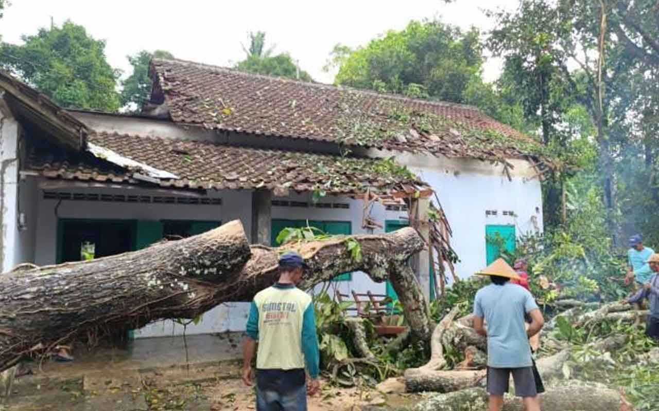 Rumah Supriyanto, warga Desa Penataran, Kecamatan Nglegok, Blitar, yang tertimpa pohon tumbang, setelah diterjang angin kencang. Foto: Tribun.