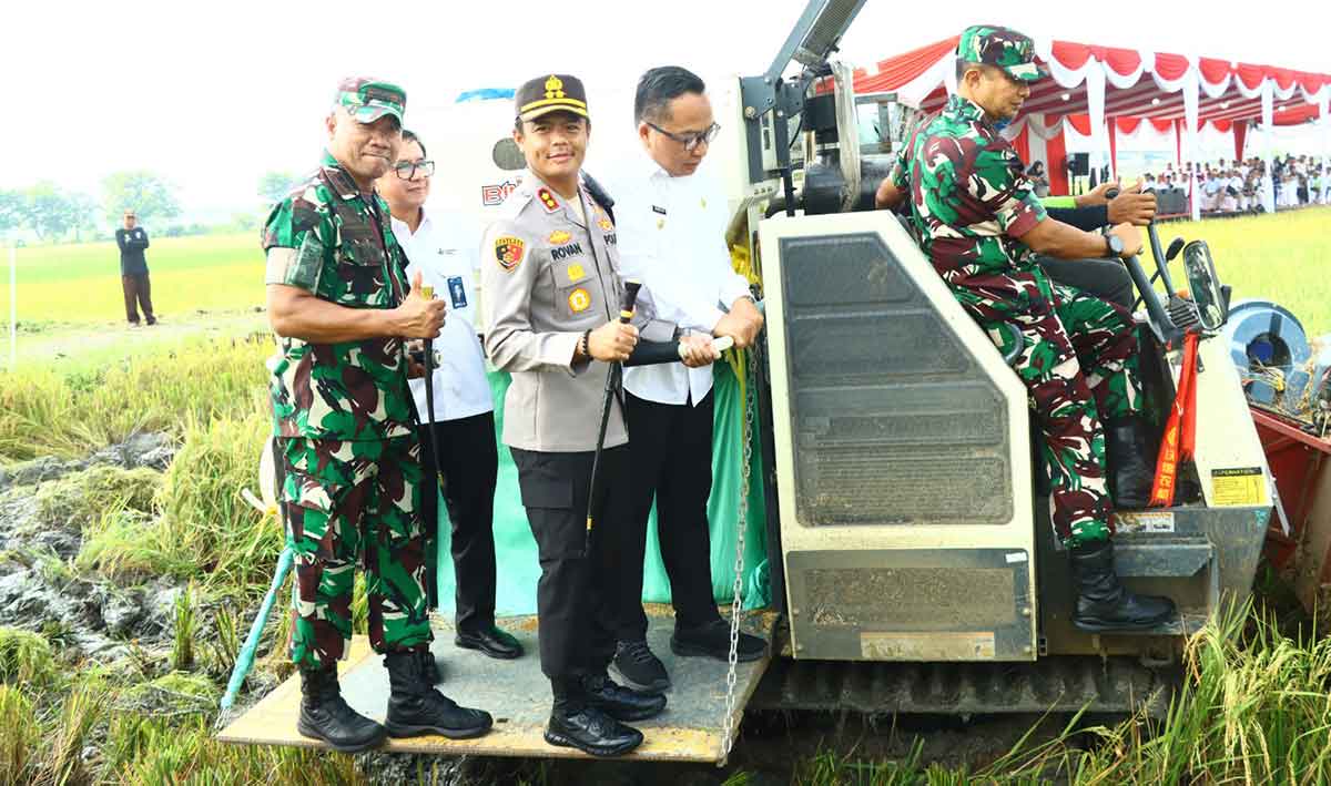 Sejumlah pejabat yang menghadiri panen raya padi serentak di Desa Mulung, Kecamatan Driyorejo, Gresik. Foto: Ist