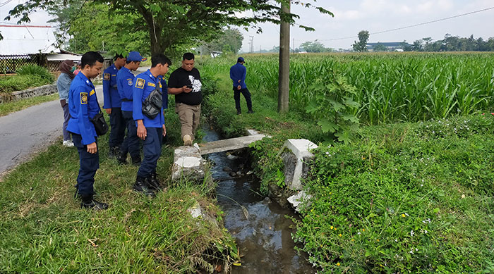 Petugas Damkar Kabupaten Blitar saat menyisir lokasi tewasnya warga Nglegok yang dililit ular sepanjang 4 meter.